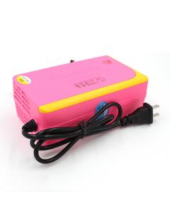 BIKIGHT 12V4A Portable Intelligent Motorcycle Electric Bike Lead Acid Battery Fast Charging Charger