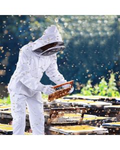Professional Cotton Full Body Beekeeping Bee Keeping Clothing Tools Set w/ Veil Hood L/XL/XXL