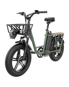 [CA Direct] FIIDO T1 48V 20AH 750W 20*4.0in Electric Bicycle 150 KM Mileage 150 KG Payload Mechanical Disc Brake Electric Bike