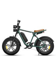 [USA DIRECT] ENGWE M20 13Ah 750W 20*4.0 Fat Tire Electric Bike 60-75km Mileage Range E Bike for Mountain Snowfield Road